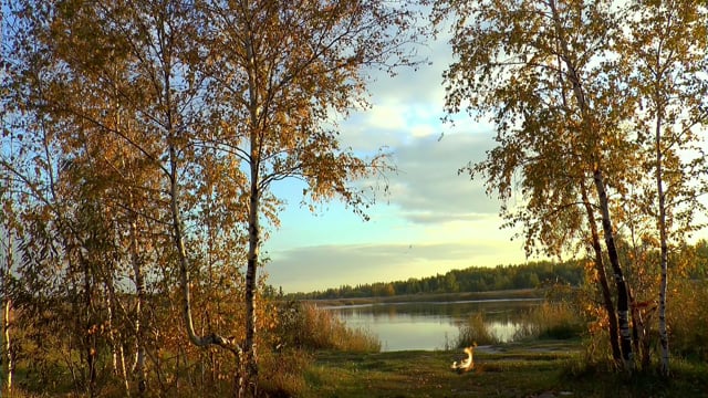 Autumn lake