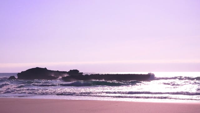 Purple beach