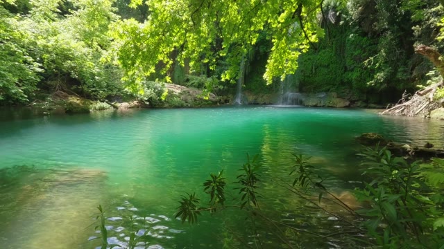 Forest waterfall