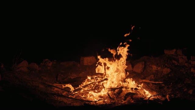 Campfire at night