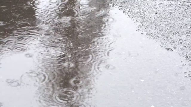 Rain ripples