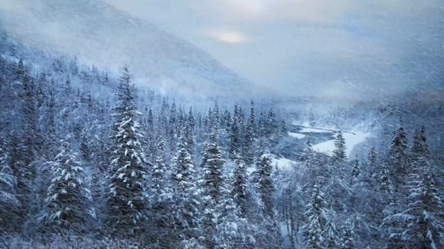 Snow wonderland