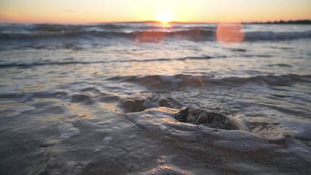 Sunset shore
