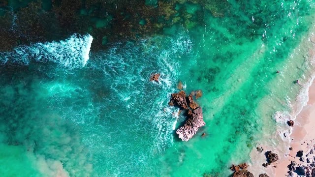 Tropical shore