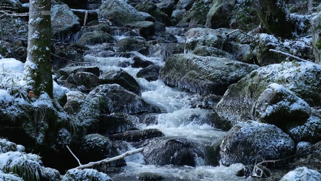 Winter river